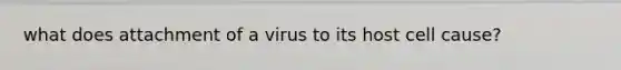 what does attachment of a virus to its host cell cause?