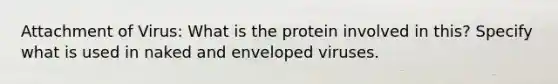 Attachment of Virus: What is the protein involved in this? Specify what is used in naked and enveloped viruses.