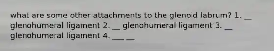 what are some other attachments to the glenoid labrum? 1. __ glenohumeral ligament 2. __ glenohumeral ligament 3. __ glenohumeral ligament 4. ___ __