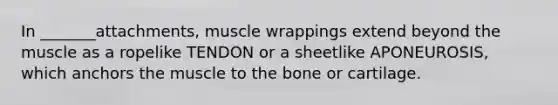 In _______attachments, muscle wrappings extend beyond the muscle as a ropelike TENDON or a sheetlike APONEUROSIS, which anchors the muscle to the bone or cartilage.