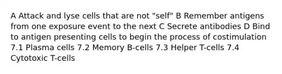 A Attack and lyse cells that are not "self" B Remember antigens from one exposure event to the next C Secrete antibodies D Bind to antigen presenting cells to begin the process of costimulation 7.1 Plasma cells 7.2 Memory B-cells 7.3 Helper T-cells 7.4 Cytotoxic T-cells