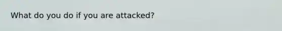 What do you do if you are attacked?