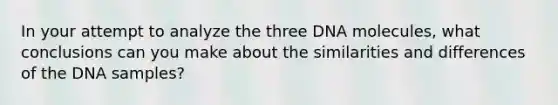 In your attempt to analyze the three DNA molecules, what conclusions can you make about the similarities and differences of the DNA samples?