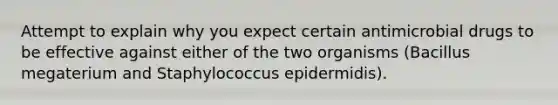 Attempt to explain why you expect certain antimicrobial drugs to be effective against either of the two organisms (Bacillus megaterium and Staphylococcus epidermidis).