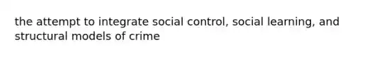 the attempt to integrate social control, social learning, and structural models of crime