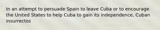 In an attempt to persuade Spain to leave Cuba or to encourage the United States to help Cuba to gain its independence, Cuban insurrectos