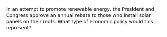 In an attempt to promote renewable energy, the President and Congress approve an annual rebate to those who install solar panels on their roofs. What type of economic policy would this represent?