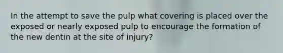 In the attempt to save the pulp what covering is placed over the exposed or nearly exposed pulp to encourage the formation of the new dentin at the site of injury?