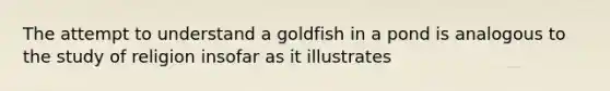 The attempt to understand a goldfish in a pond is analogous to the study of religion insofar as it illustrates