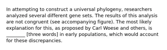 In attempting to construct a universal phylogeny, researchers analyzed several different gene sets. The results of this analysis are not congruent (see accompanying figure). The most likely explanation for this, as proposed by Carl Woese and others, is ________ [three words] in early populations, which would account for these discrepancies.