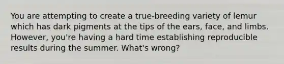 You are attempting to create a true-breeding variety of lemur which has dark pigments at the tips of the ears, face, and limbs. However, you're having a hard time establishing reproducible results during the summer. What's wrong?