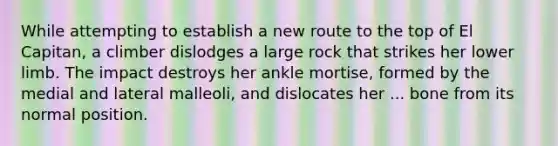 While attempting to establish a new route to the top of El Capitan, a climber dislodges a large rock that strikes her lower limb. The impact destroys her ankle mortise, formed by the medial and lateral malleoli, and dislocates her ... bone from its normal position.