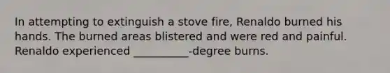 In attempting to extinguish a stove fire, Renaldo burned his hands. The burned areas blistered and were red and painful. Renaldo experienced __________-degree burns.