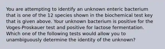 You are attempting to identify an unknown enteric bacterium that is one of the 12 species shown in the biochemical test key that is given above. Your unknown bacterium is positive for the Voges-Proskauer test and positive for lactose fermentation. Which one of the following tests would allow you to unambiguously determine the identity of the unknown?