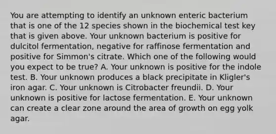 You are attempting to identify an unknown enteric bacterium that is one of the 12 species shown in the biochemical test key that is given above. Your unknown bacterium is positive for dulcitol fermentation, negative for raffinose fermentation and positive for Simmon's citrate. Which one of the following would you expect to be true? A. Your unknown is positive for the indole test. B. Your unknown produces a black precipitate in Kligler's iron agar. C. Your unknown is Citrobacter freundii. D. Your unknown is positive for lactose fermentation. E. Your unknown can create a clear zone around the area of growth on egg yolk agar.