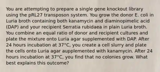 You are attempting to prepare a single gene knockout library using the pRL27 transposon system. You grow the donor E. coli in Luria broth containing both kanamycin and diaminopimelic acid (DAP) and your recipient Serratia rubidaea in plain Luria broth. You combine an equal ratio of donor and recipient cultures and plate the mixture onto Luria agar supplemented with DAP. After 24 hours incubation at 37°C, you create a cell slurry and plate the cells onto Luria agar aupplemented with kanamycin. After 24 hours incubation at 37°C, you find that no colonies grow. What best explains this outcome?