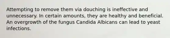 Attempting to remove them via douching is ineffective and unnecessary. In certain amounts, they are healthy and beneficial. An overgrowth of the fungus Candida Albicans can lead to yeast infections.