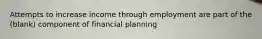 Attempts to increase income through employment are part of the (blank) component of financial planning