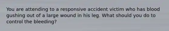 You are attending to a responsive accident victim who has blood gushing out of a large wound in his leg. What should you do to control the bleeding?