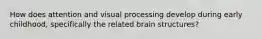 How does attention and visual processing develop during early childhood, specifically the related brain structures?