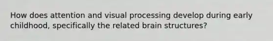 How does attention and visual processing develop during early childhood, specifically the related brain structures?