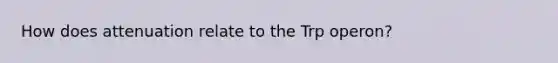 How does attenuation relate to the Trp operon?