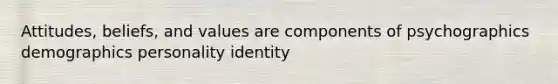 Attitudes, beliefs, and values are components of psychographics demographics personality identity