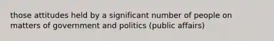 those attitudes held by a significant number of people on matters of government and politics (public affairs)