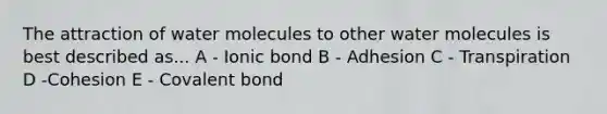 The attraction of water molecules to other water molecules is best described as... A - Ionic bond B - Adhesion C - Transpiration D -Cohesion E - Covalent bond