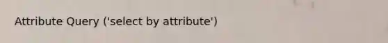 Attribute Query ('select by attribute')