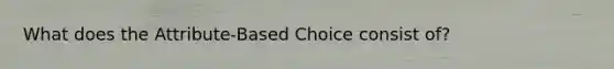 What does the Attribute-Based Choice consist of?