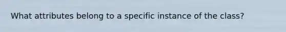 What attributes belong to a specific instance of the class?