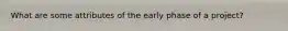 What are some attributes of the early phase of a project?