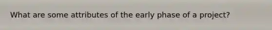 What are some attributes of the early phase of a project?