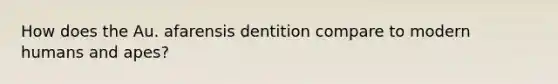 How does the Au. afarensis dentition compare to modern humans and apes?