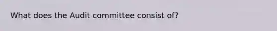 What does the Audit committee consist of?
