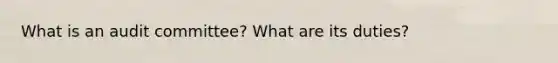 What is an audit committee? What are its duties?