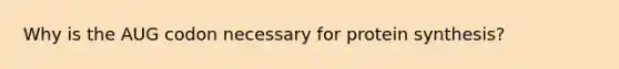Why is the AUG codon necessary for protein synthesis?