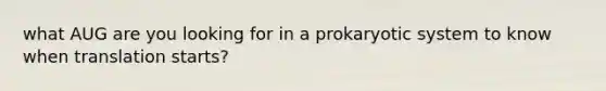 what AUG are you looking for in a prokaryotic system to know when translation starts?