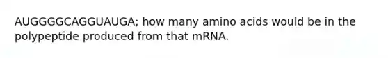 AUGGGGCAGGUAUGA; how many amino acids would be in the polypeptide produced from that mRNA.