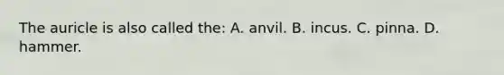 The auricle is also called the: A. anvil. B. incus. C. pinna. D. hammer.