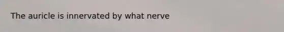 The auricle is innervated by what nerve