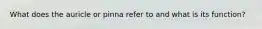 What does the auricle or pinna refer to and what is its function?