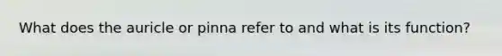 What does the auricle or pinna refer to and what is its function?