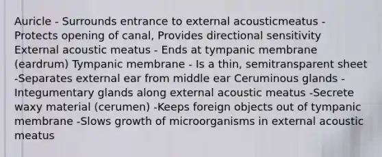 Auricle - Surrounds entrance to external acousticmeatus -Protects opening of canal, Provides directional sensitivity External acoustic meatus - Ends at tympanic membrane (eardrum) Tympanic membrane - Is a thin, semitransparent sheet -Separates external ear from middle ear Ceruminous glands - Integumentary glands along external acoustic meatus -Secrete waxy material (cerumen) -Keeps foreign objects out of tympanic membrane -Slows growth of microorganisms in external acoustic meatus