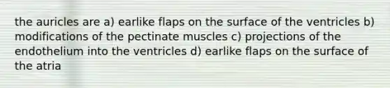 the auricles are a) earlike flaps on the surface of the ventricles b) modifications of the pectinate muscles c) projections of the endothelium into the ventricles d) earlike flaps on the surface of the atria