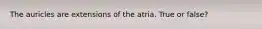 The auricles are extensions of the atria. True or false?