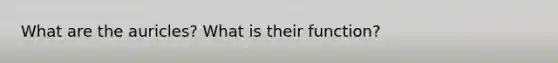 What are the auricles? What is their function?