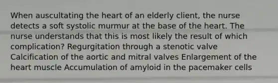 When auscultating the heart of an elderly client, the nurse detects a soft systolic murmur at the base of the heart. The nurse understands that this is most likely the result of which complication? Regurgitation through a stenotic valve Calcification of the aortic and mitral valves Enlargement of the heart muscle Accumulation of amyloid in the pacemaker cells