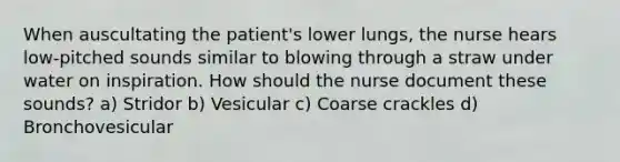 When auscultating the patient's lower lungs, the nurse hears low-pitched sounds similar to blowing through a straw under water on inspiration. How should the nurse document these sounds? a) Stridor b) Vesicular c) Coarse crackles d) Bronchovesicular